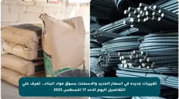 تغييرات جديدة في أسعار الحديد والأسمنت بسوق مواد البناء.. تعرف على التفاصيل اليوم الأحد 17 أغسطس 2025